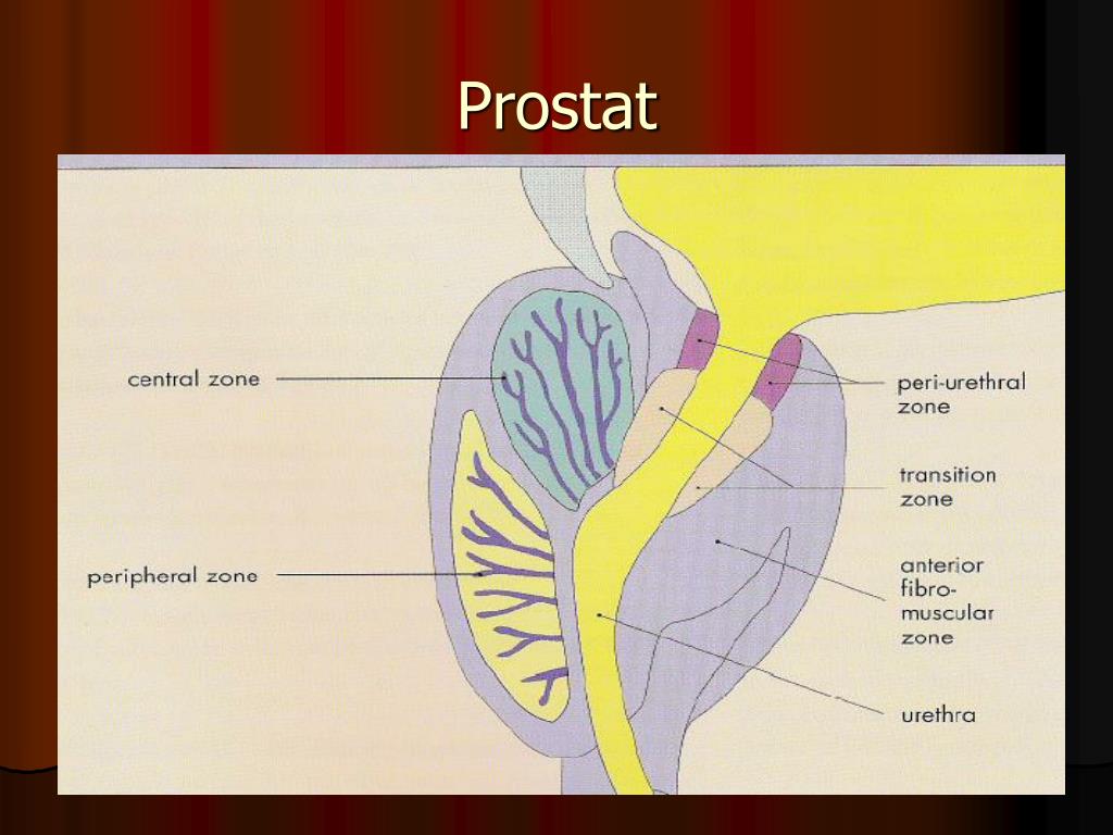 Prostat 