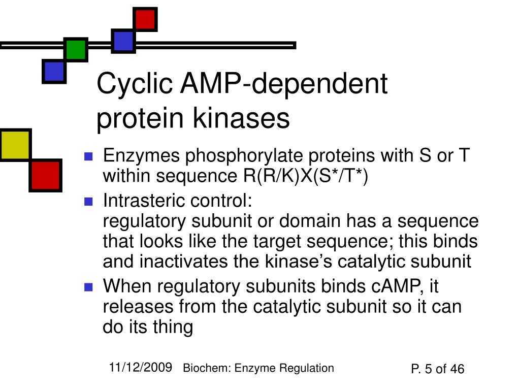cyclic amp often causes activation of