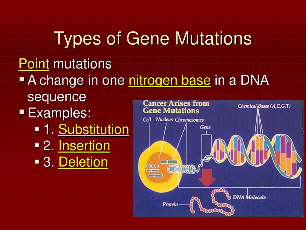 Ppt Types Of Mutations Powerpoint Presentation Free