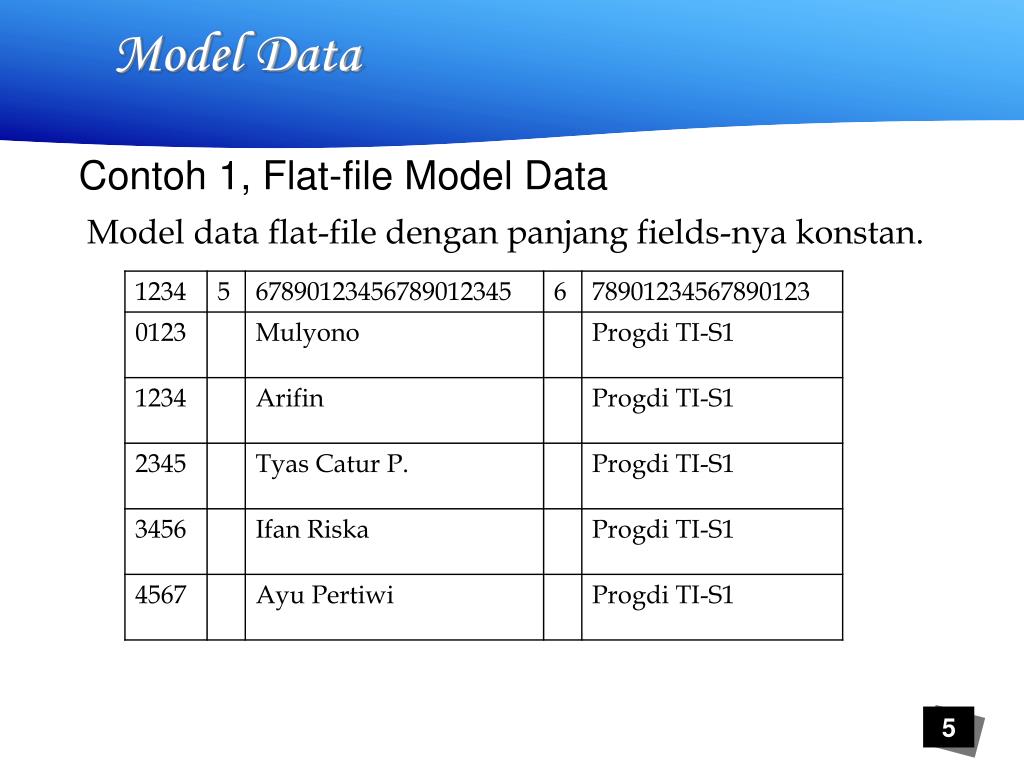 File models. Flat model database.