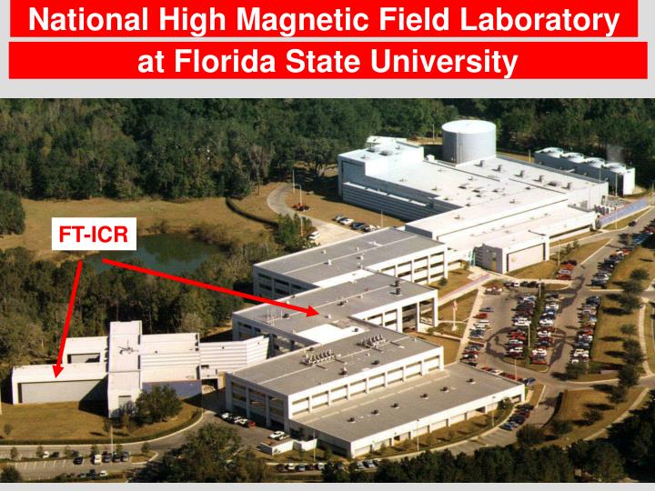 PPT - National High Magnetic Field Laboratory PowerPoint Presentation ...