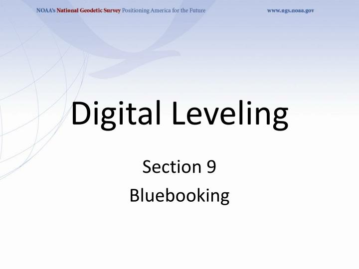 digital leveling n.