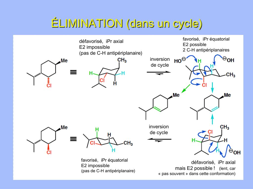 Qu'est-ce que le cycle substitué