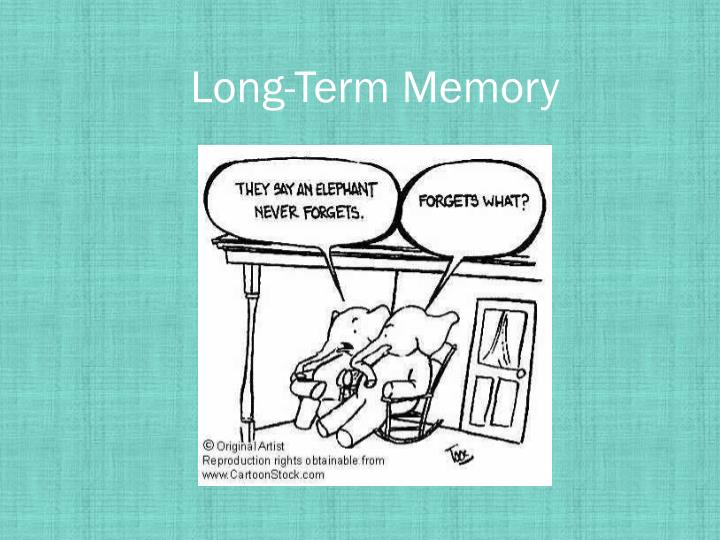 long term memory pictures