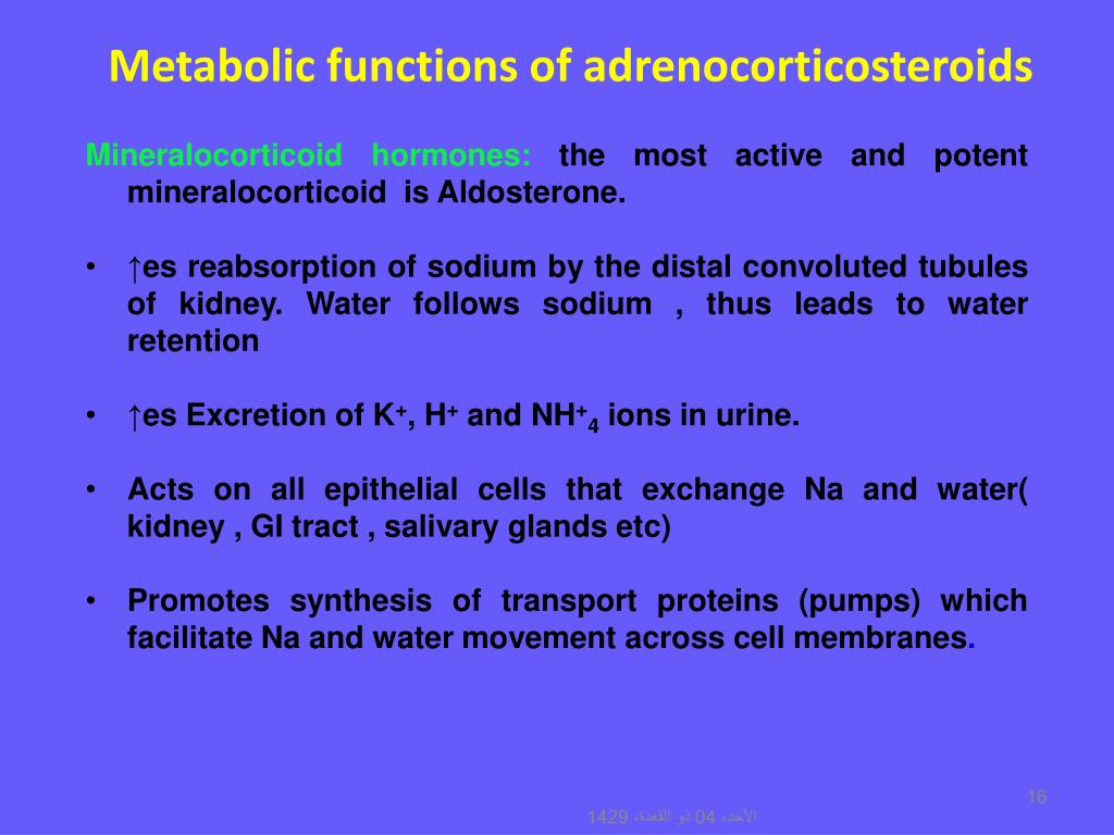 adrenal cortex hormones function adrenal cortex hormones function