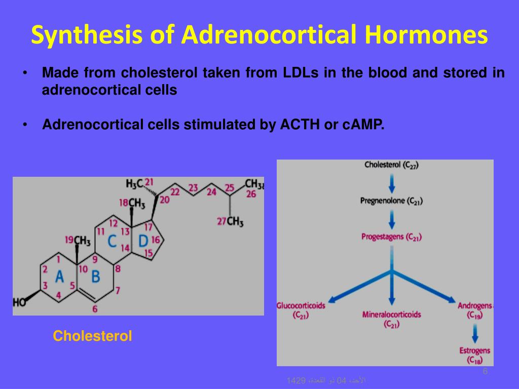 adrenal cortical hormones