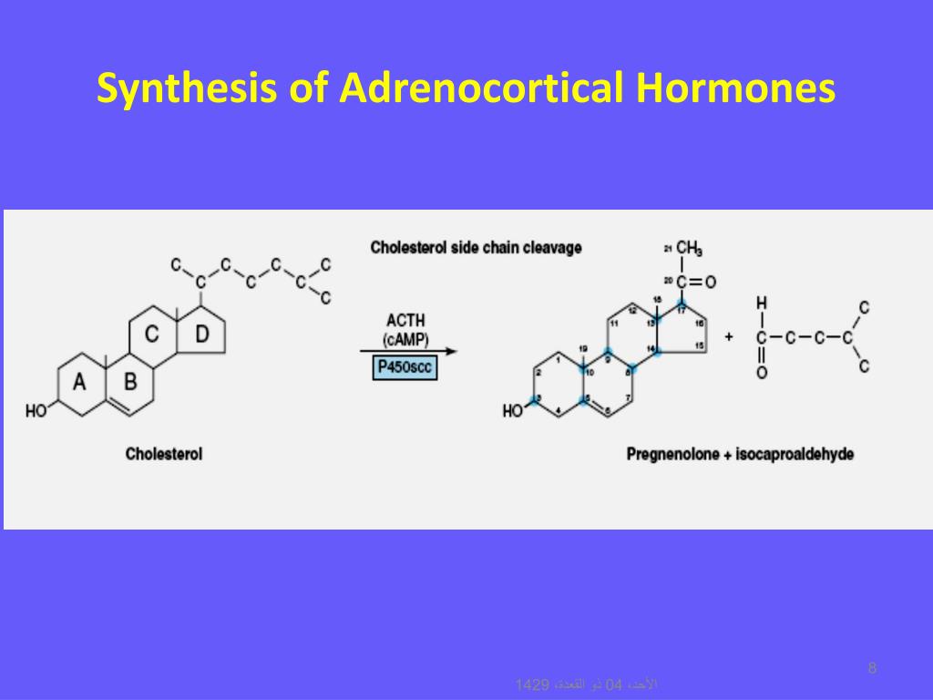 hormones of adrenal hormones of adrenal