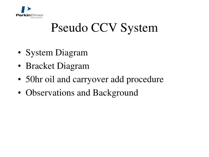 pseudo ccv system n.