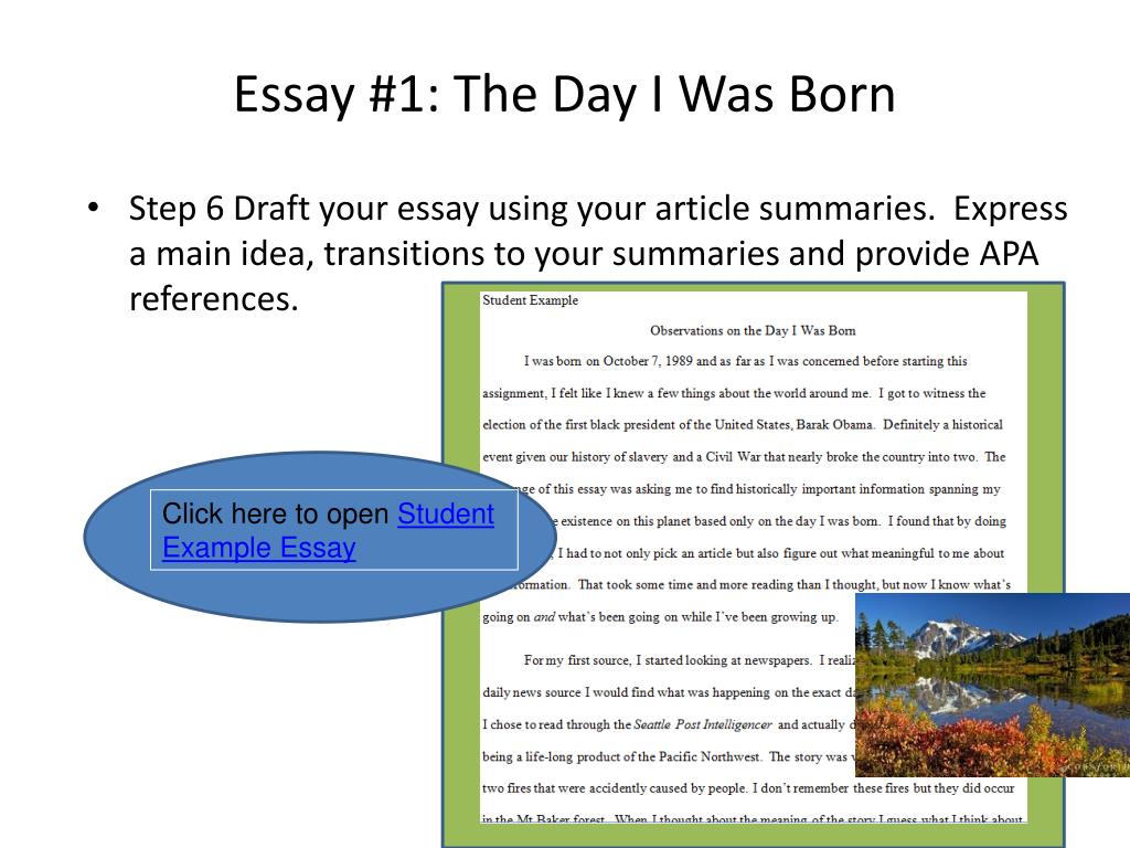 what happened on the day i was born essay