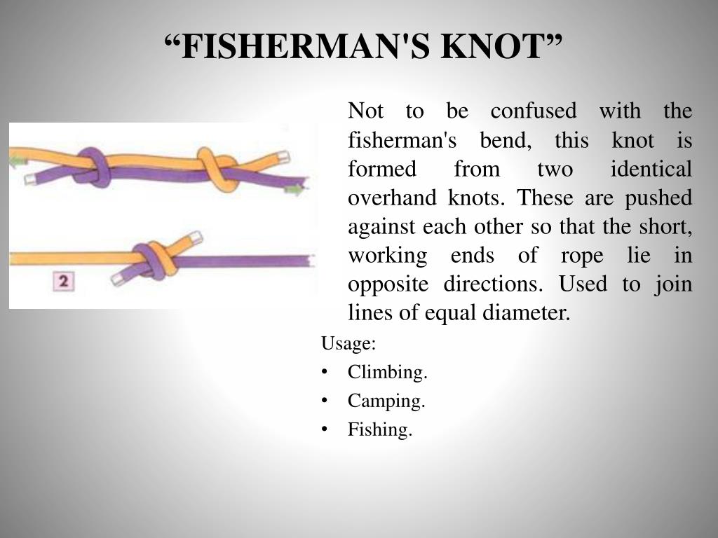 Ppt Rope Knots Tying And Stretching Practical Approach Powerpoint Ppt Rope Knots Tying And Stretching Practical Approach Powerpoint
