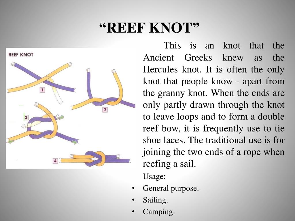 Ppt Rope Knots Tying And Stretching Practical Approach Powerpoint Ppt Rope Knots Tying And Stretching Practical Approach Powerpoint