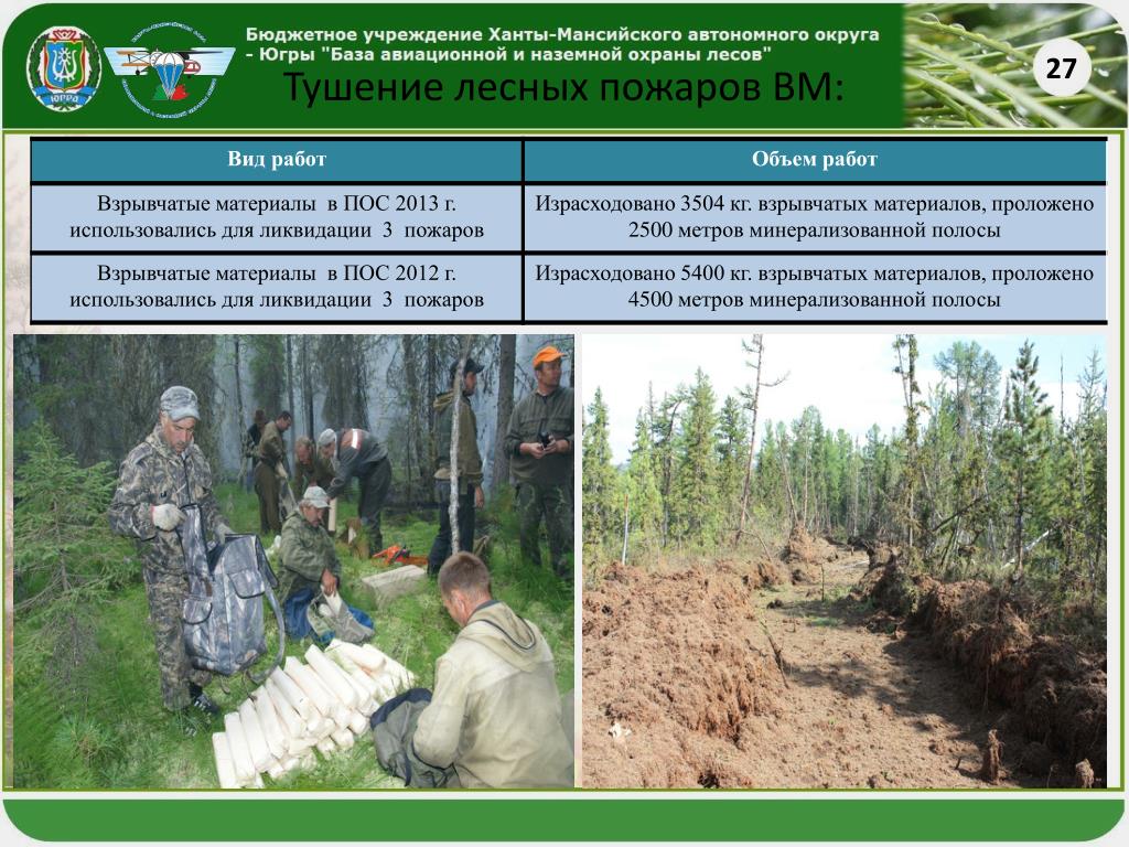 Лесные пожары приказ. Охрана лесов и тушение лесных пожаров. Учебное тушение пожаров леса. Финансирование охраны лесов от пожаров. Иркутская база авиационной и наземной охраны лесов.