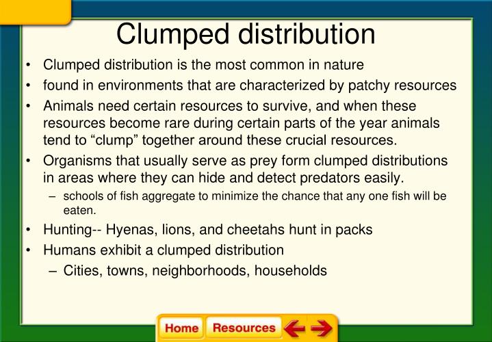 PPT - Chapter 4 Population Ecology PowerPoint Presentation - ID:3271337