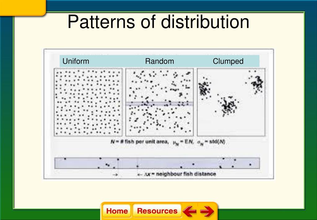 PPT Chapter 4 Population Ecology PowerPoint Presentation, free