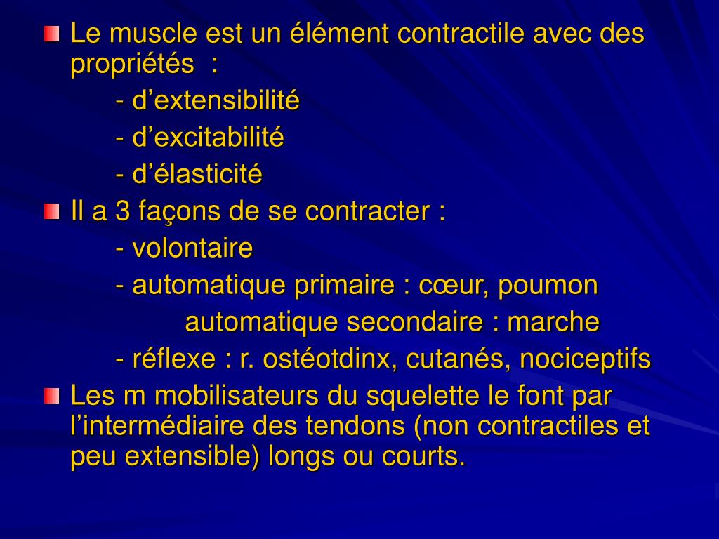 PPT LE BILAN MUSCULAIRE PowerPoint Presentation Free Download ID 