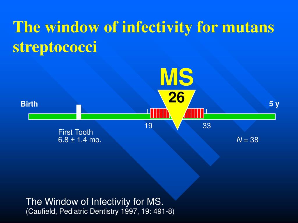 PPT Prevention of motherchild transmission of mutans streptococci with xylitol PowerPoint