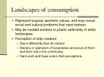 landscapes of consumption2