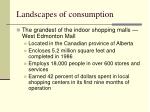 landscapes of consumption3