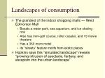 landscapes of consumption4