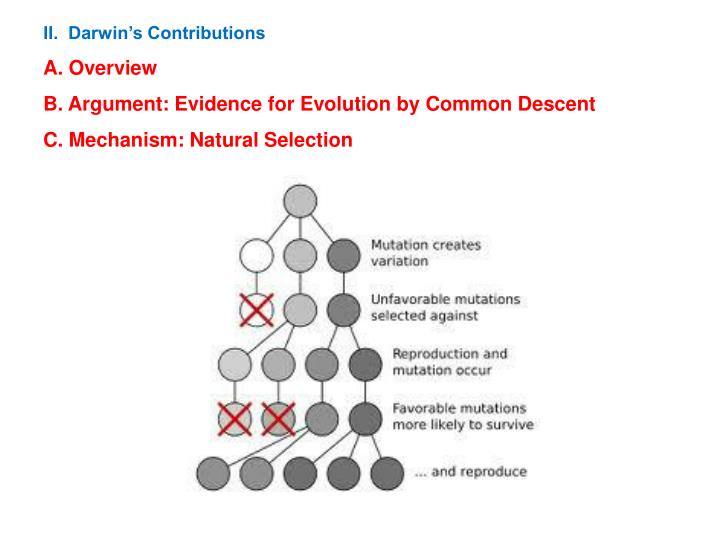 natural selection essay conclusion Category: natural selection, evolution essays title: darwin’s theory of natural selection. natural selection essay conclusion Category: natural selection, evolution essays title: darwin’s theory of natural selection.