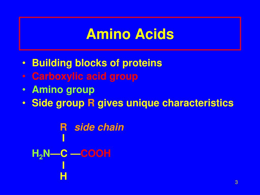 PPT Amino Acids Proteins, and Enzymes PowerPoint Presentation, free