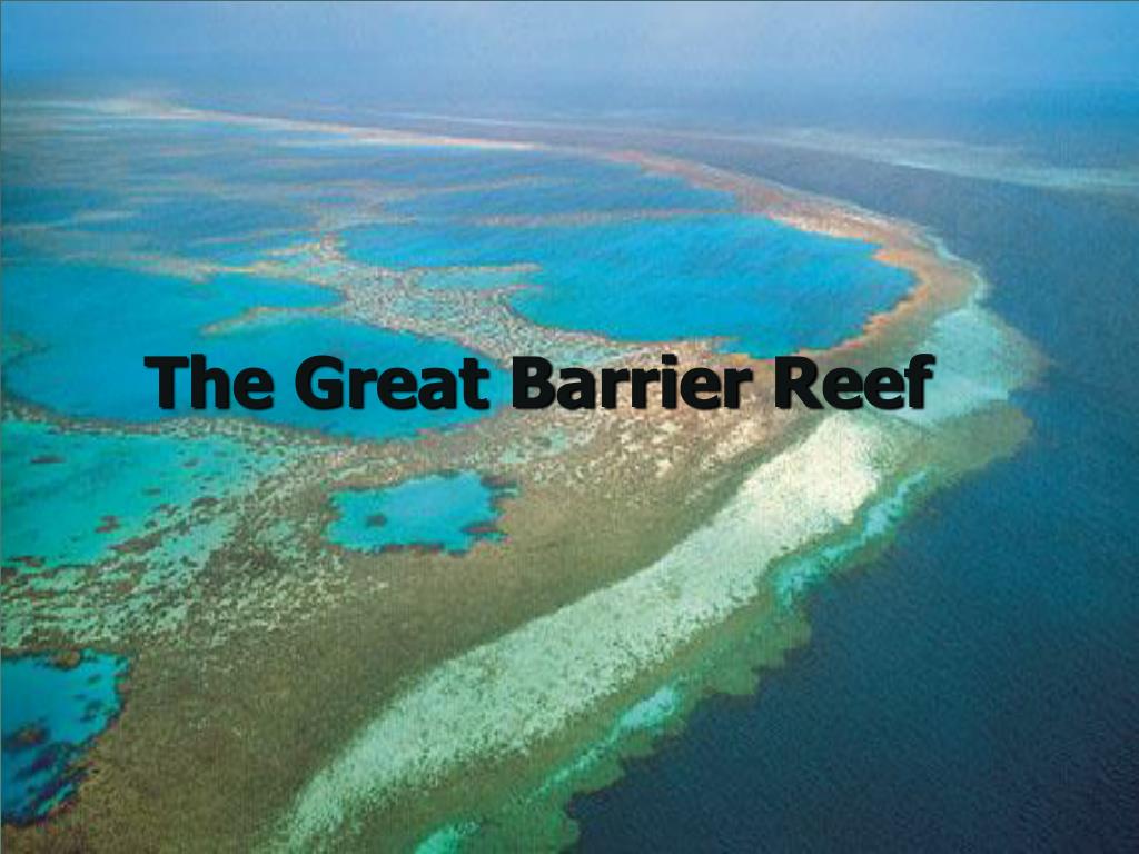great barrier reef powerpoint presentation english