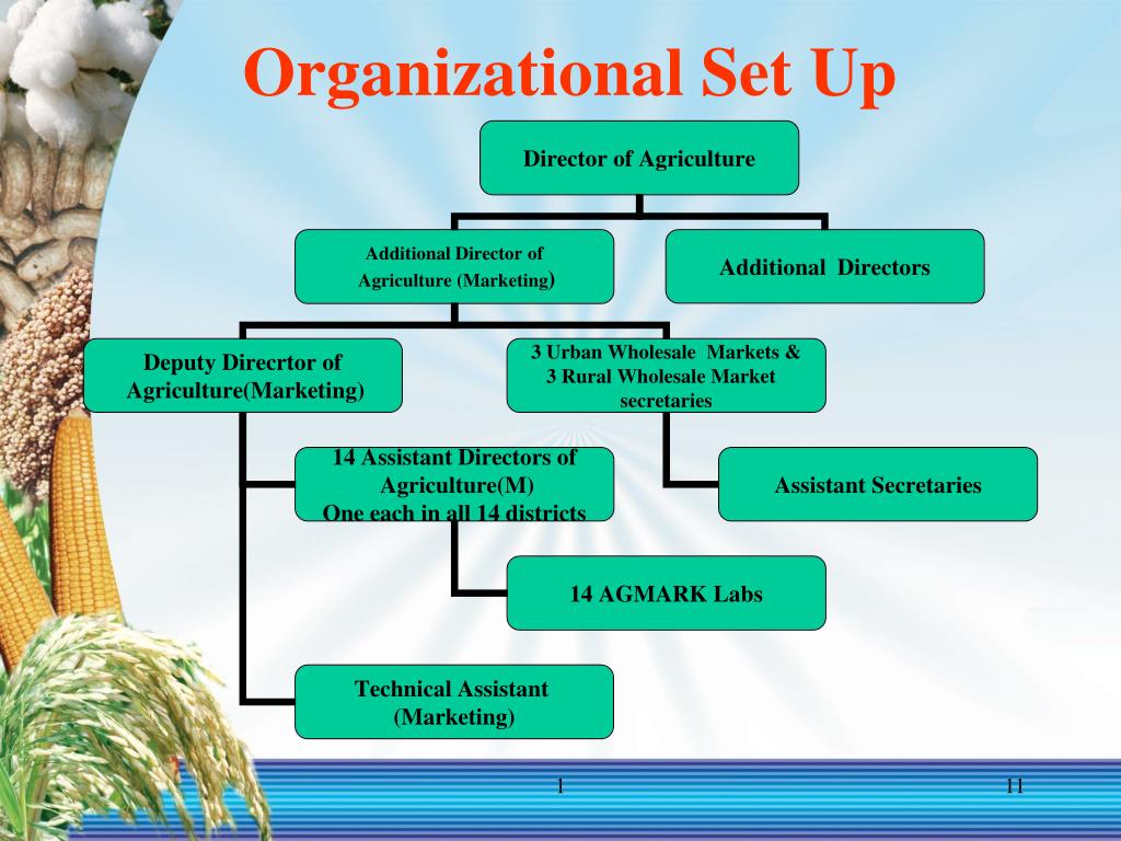 PPT Agricultural Marketing in Kerala DEPARTMENT OF AGRICULTURE KERALA