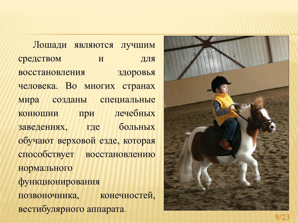 Рассказ конюшня. Конный спорт презентация. Презентация на тему верховая езда. Презентация на тему лошади. Рассказ о конном спорте.