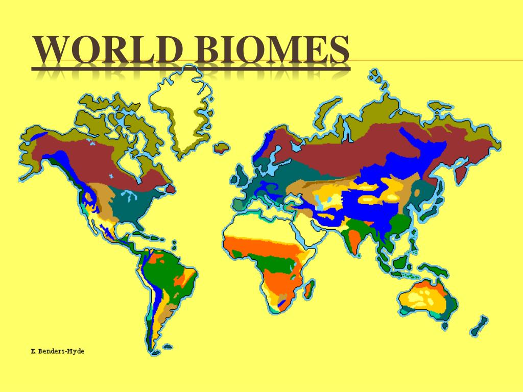 PPT - World Biomes PowerPoint Presentation, free download - ID:3277283