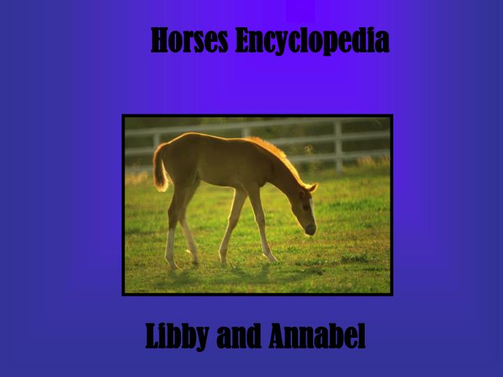 PPT - Horses Encyclopedia PowerPoint Presentation, free download - ID ...