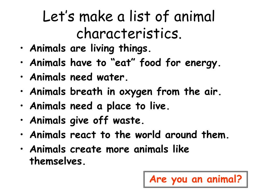 PPT - Characteristics of Animals PowerPoint Presentation, free download -  ID:3277657