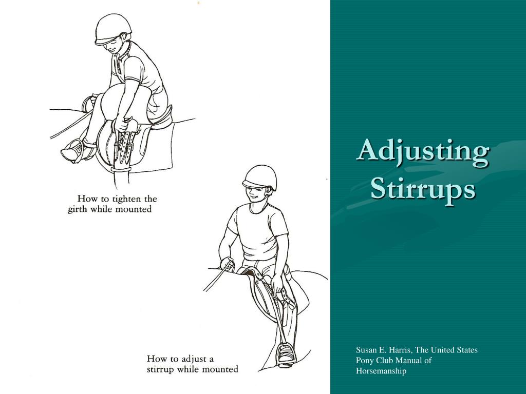 PPT - Maryland 4-H Horsemanship Standards Riding Levels 1 - 2 ...