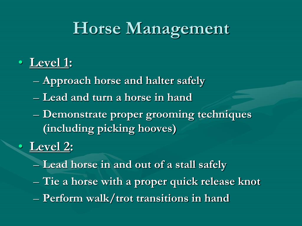 PPT Maryland 4H Horsemanship Standards Riding Levels 1 2