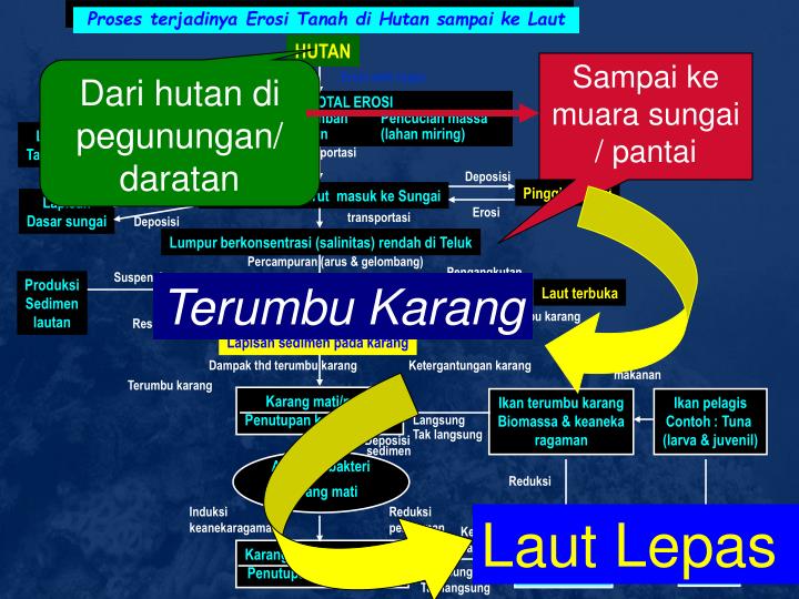 PPT - DAMPAK PADA EKOSISTEM PERAIRAN* PowerPoint 