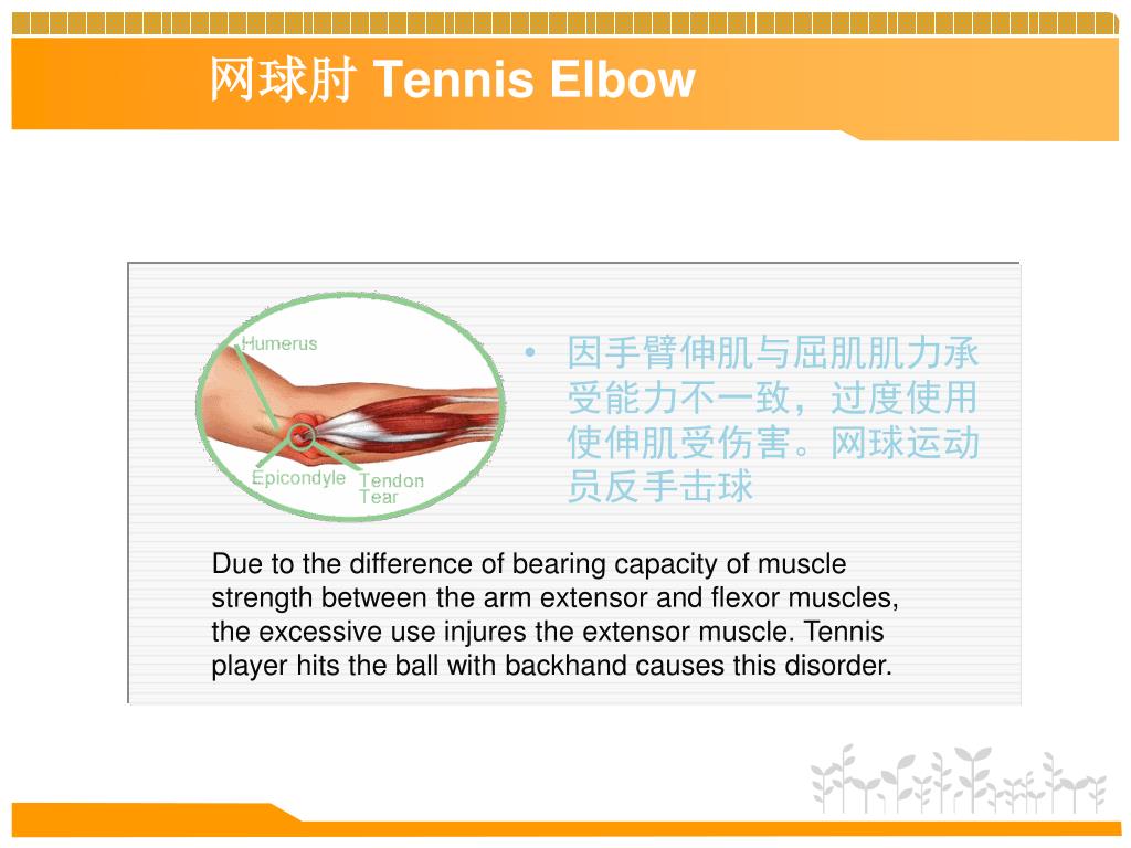 PPT - 薄氏腹针疗法的 临床应用 Dr. ZhiYun Bo’s Abdominal Acupuncture Therapy and ...