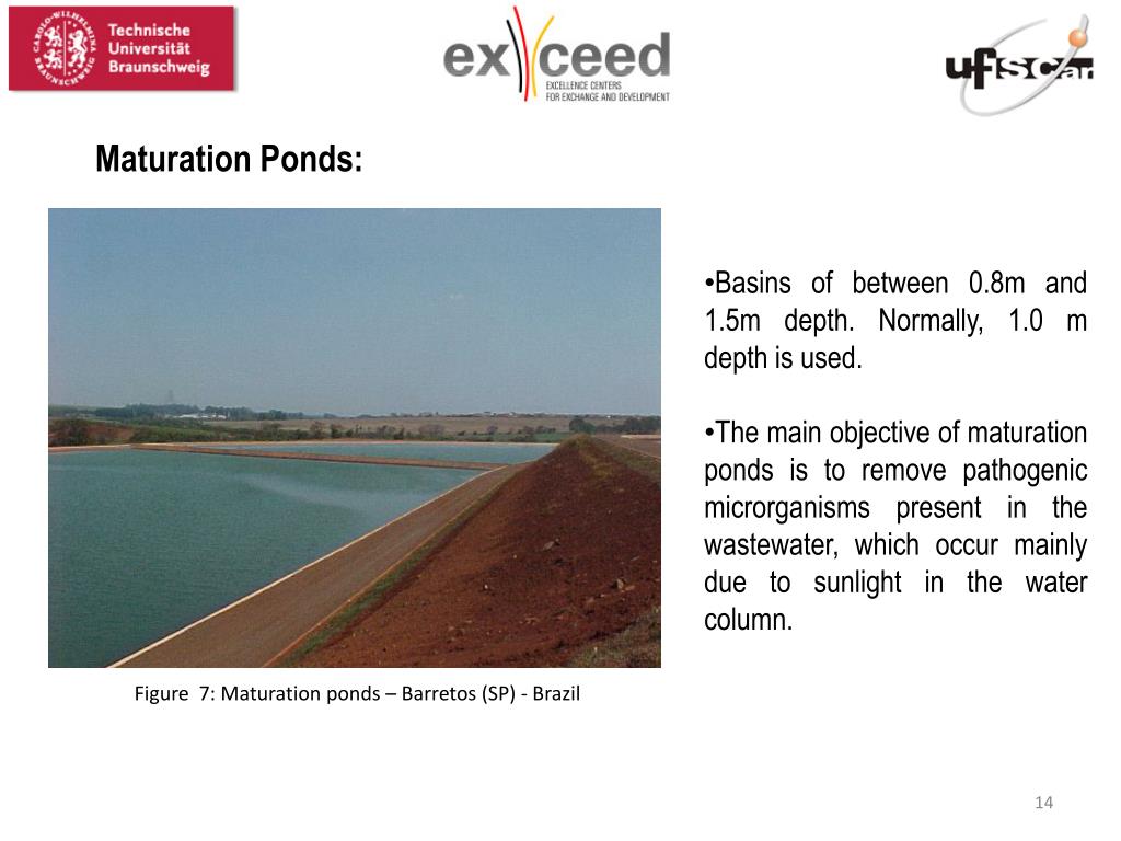 PPT STABILIZATION PONDS Eng. Dr. Erich Kellner November, 7 th 2012