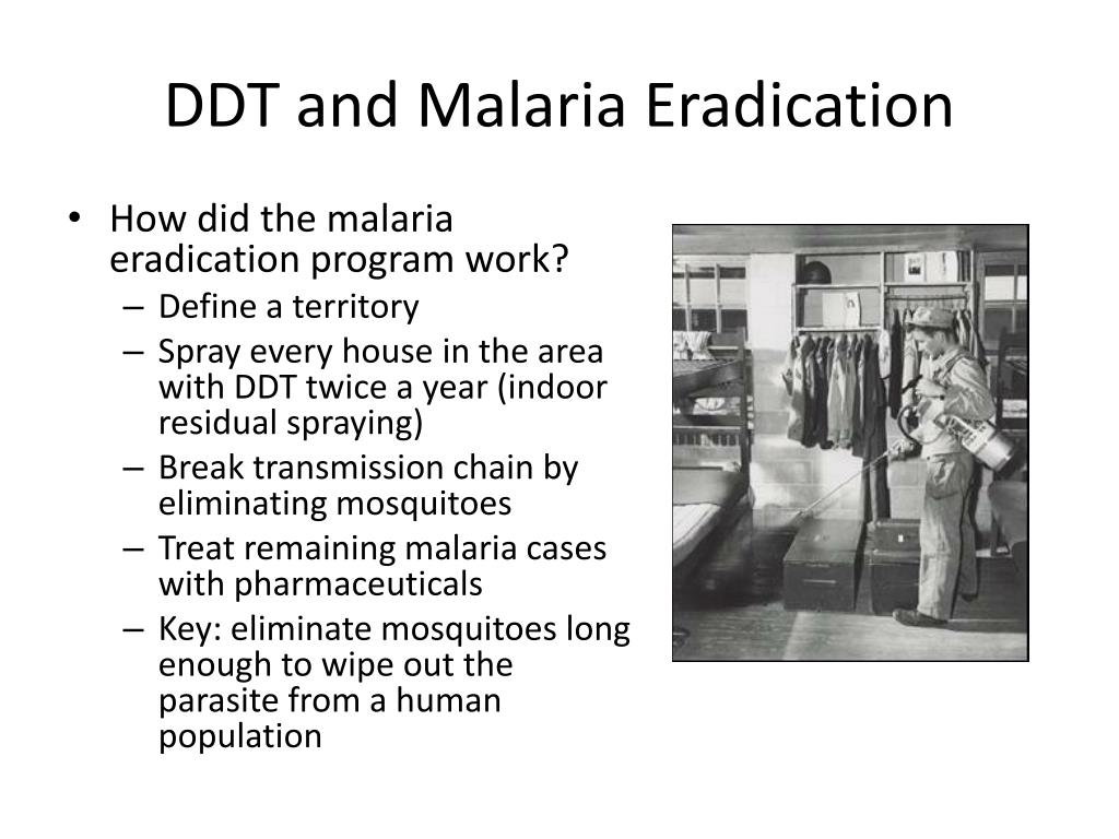 ddt malaria case study