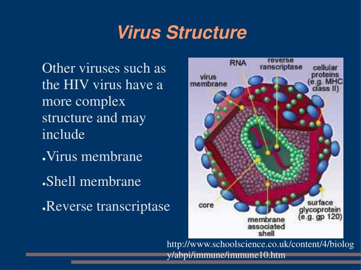 PPT - Modeling Virus Capsids using Tiling Theory PowerPoint ...