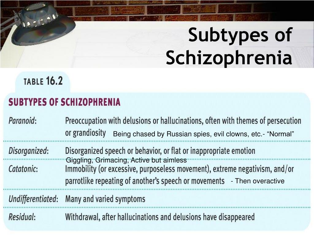 What Are The Schizophrenia Subtypes Schizophrenias Subtypes Are Hot Sex Picture
