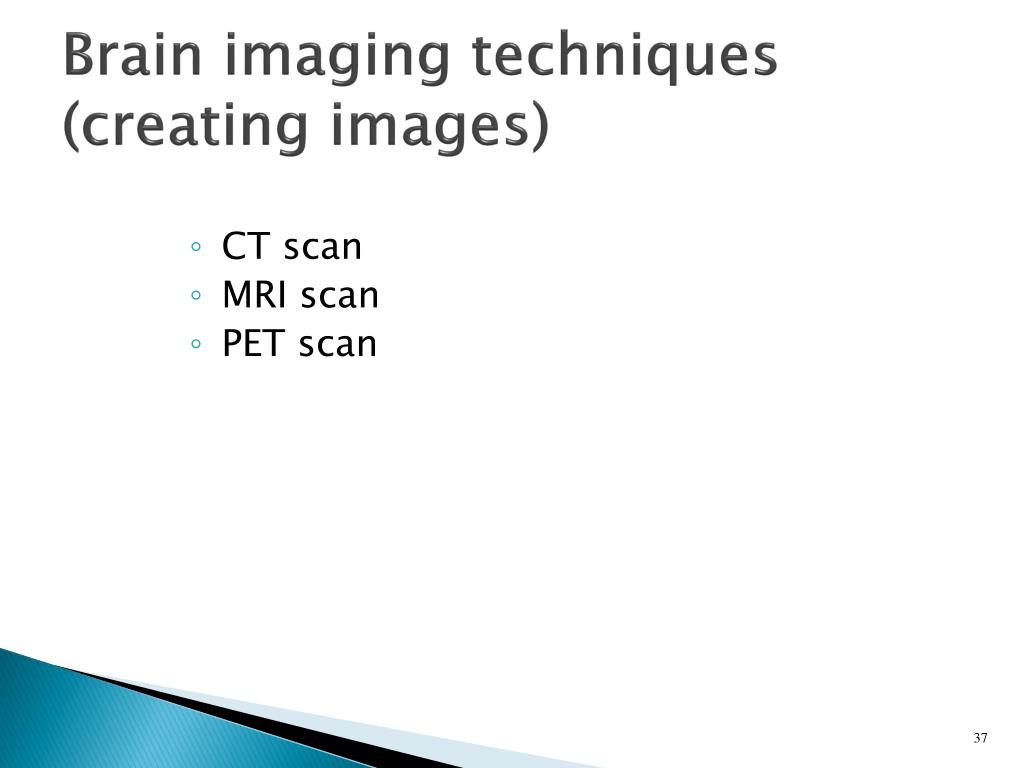 PPT - Unraveling the Neuroscience of Neurons: From Communication to ...