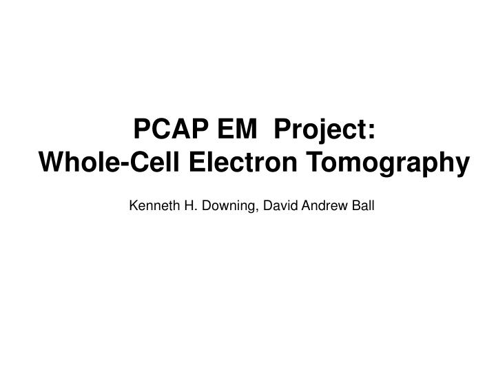 PPT - PCAP EM Project: Whole-Cell Electron Tomography PowerPoint ...