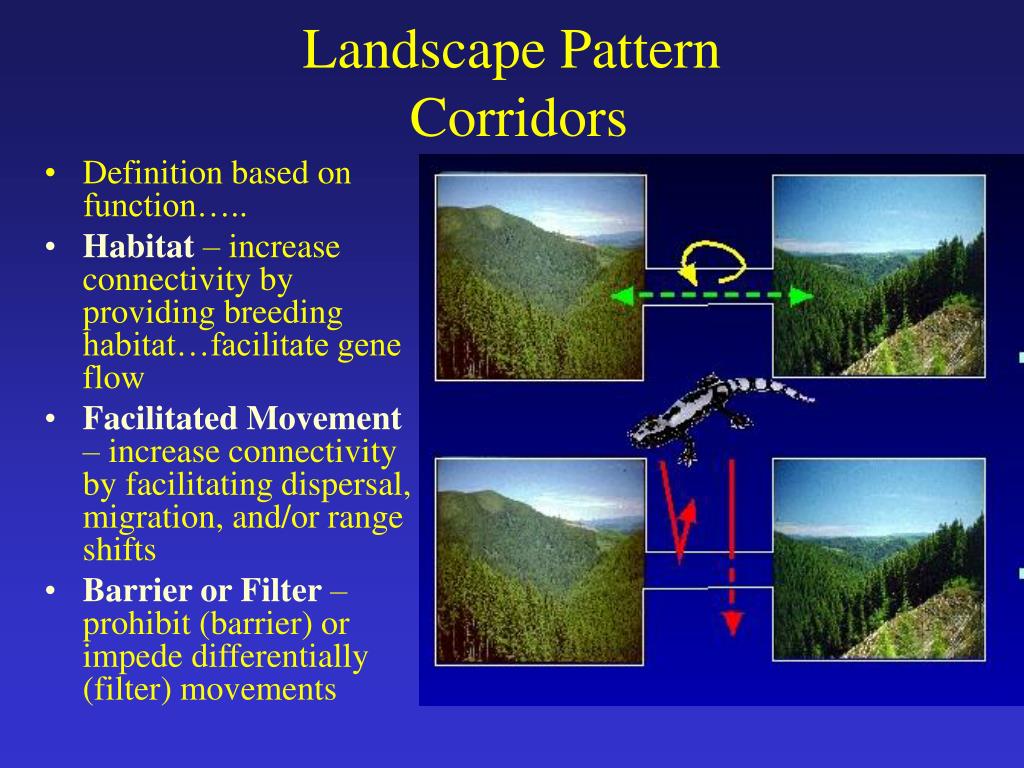 Landscape pattern definition