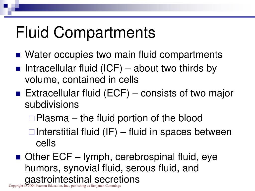 major body fluid compartments major body fluid compartments