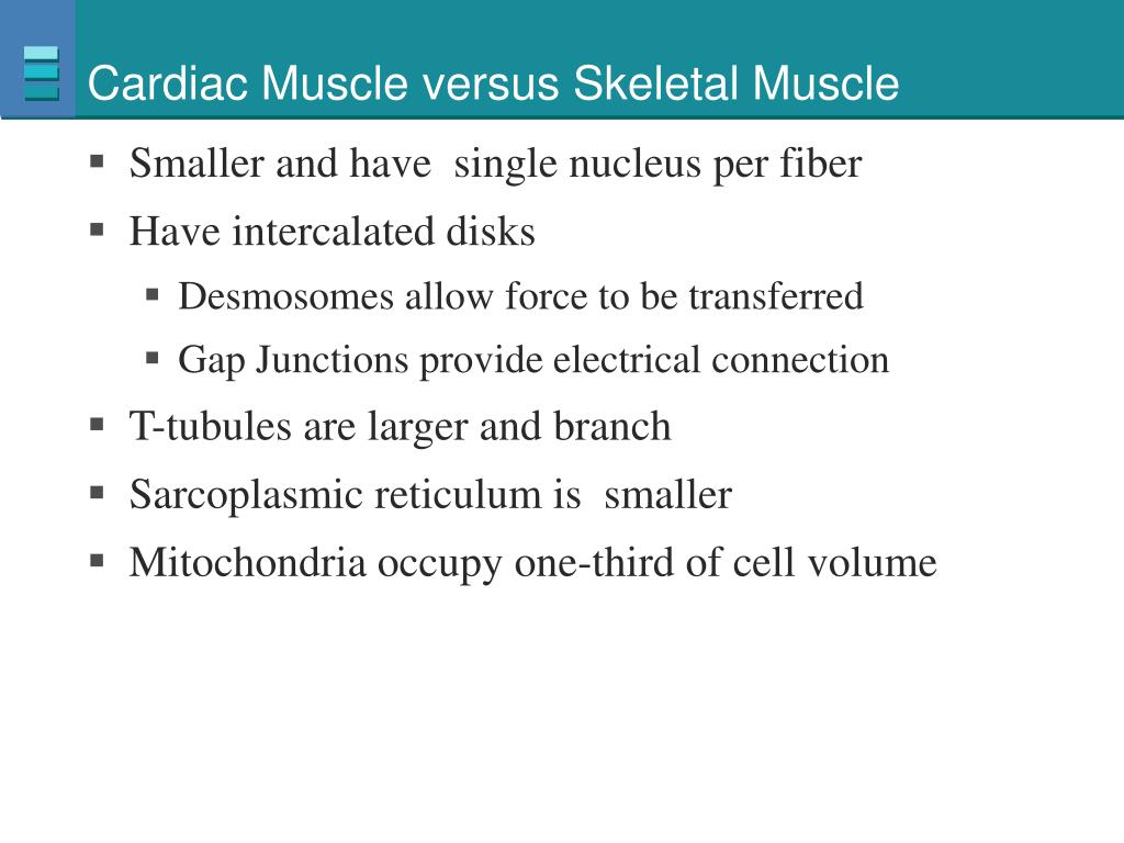 what is the difference between cardiac muscle and skeletal muscle