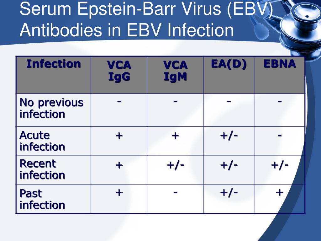 Epstein barr virus ebna. Вирус Эпштейна Барр EBNA. EBNA вирус Эпштейна-Барр антитела. Эпштейн Барр VCA И EBNA. Эпштейн Барр - EBV VCA IGM.