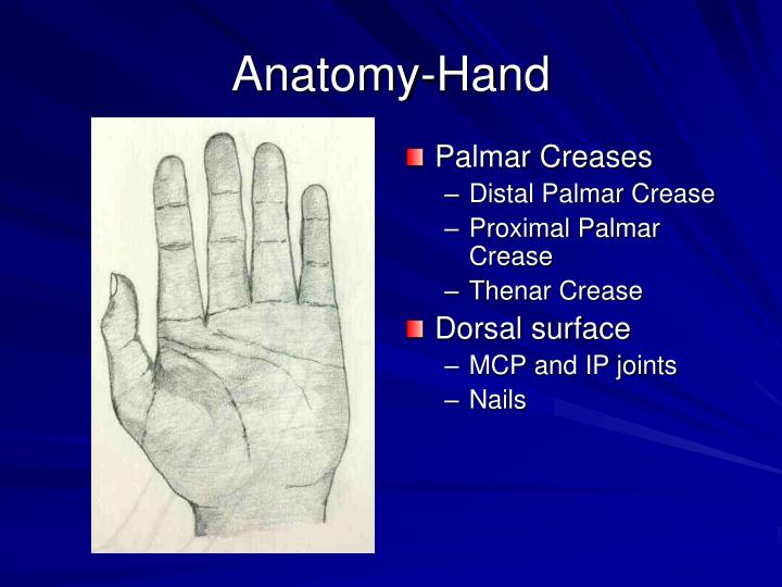 PPT - Examination of the Hand and Wrist PowerPoint Presentation - ID