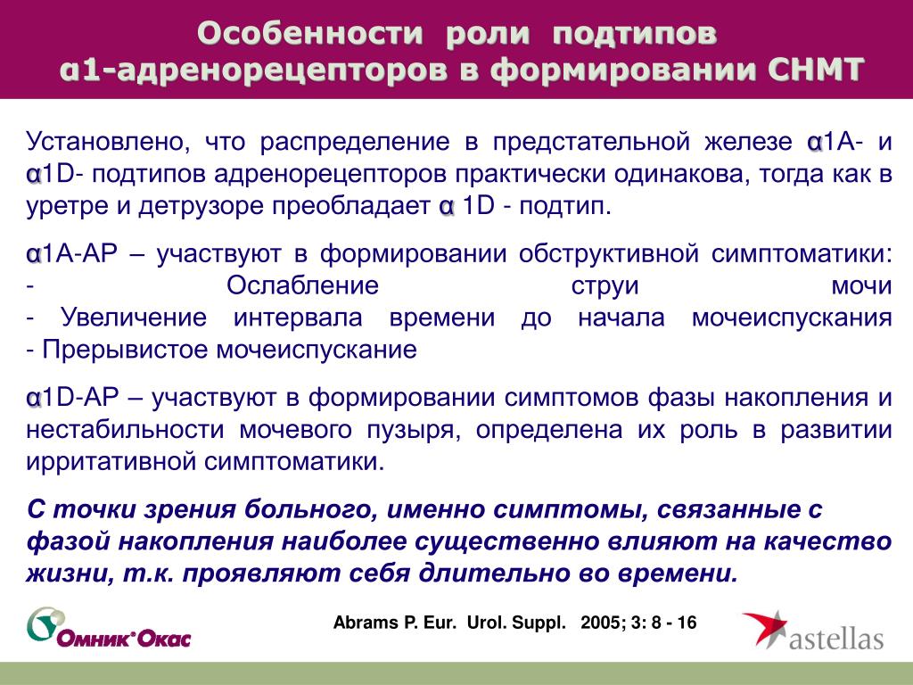 Особенности роль. Особенности роли. Адренорецепторы в предстательной железе. Особенности роли гражданина. Обструктивная Ноктурия.