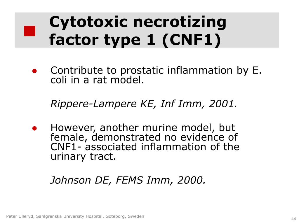 PPT - Urinary tract infections in men: the classical urovirulent E ...