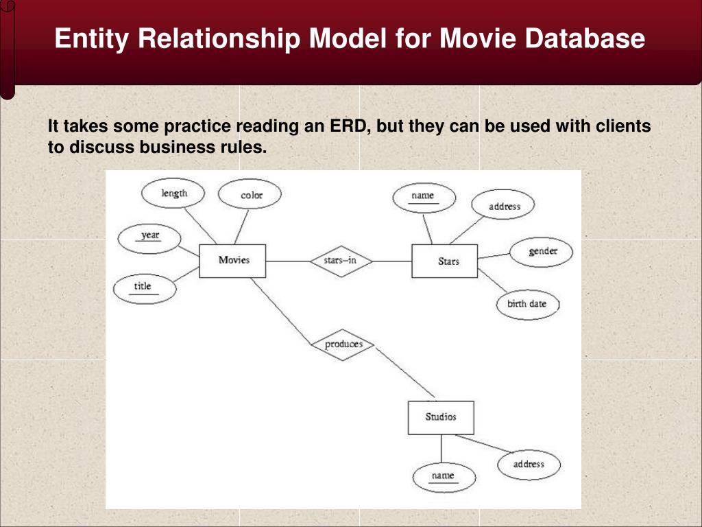 Entity relationship diagram business rules