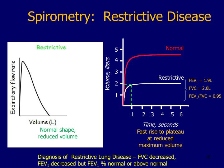PPT Physiology Lab Spirometry PowerPoint Presentation ID3299125
